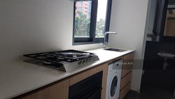 OUE Twin Peaks (D9), Condominium #135458922